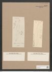 Pleurosigma sp. (de-Toni-Nr.: Genus 13, Species 1018 ?, 1001 ?) Zeichnungen Sammlung Grunow Nr. 2140 (NHMW-BOT-W0369182)